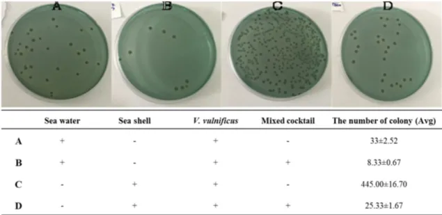 Fig. 5. Effects of natural products on  V. vulnificus growth in seawater and shellfish