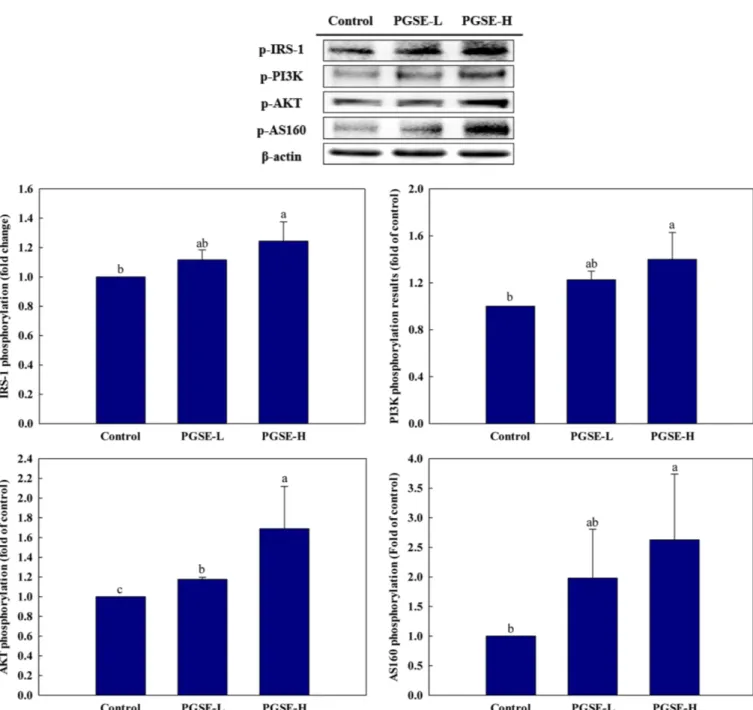 Fig. 2. Effect of PGSE administration on IRS-1, PI3K, AKT, and AS160 phosphorylation in the femoral muscle