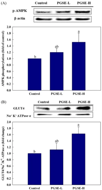 Fig. 3 Effect of PGSE administration on AMPK phosphorylation (A) and GLUT4 translocation (B)
