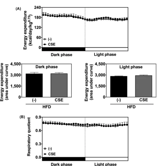 Fig. 3. The effects of corn silk extracts on energy metabolism and substrate utilization