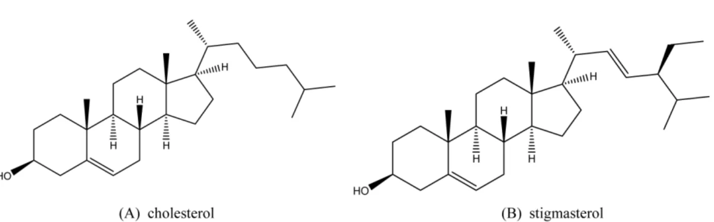 Fig. 1. Structure of (A) cholesterol and (B) stigmasterol.