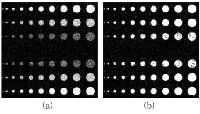 Fig. 4 Detected blob images; (a) detected defect pixels image, (b) detected defect blobs image 을 구성하는 화소들과 배경에 의한 화소들로 이루어 져있으며, 미 검출된 화소들에 의해 연결된 결함 영 역(Blob)으로 나타나지 않는다