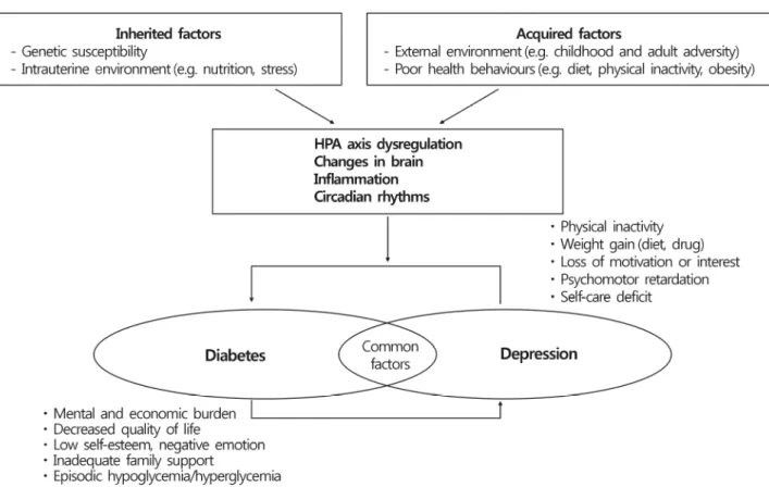 Fig. 1. Hypothesis of biological mechanisms of diabetes and depression. HPA, hypothalamus-pituitary-adrenal.