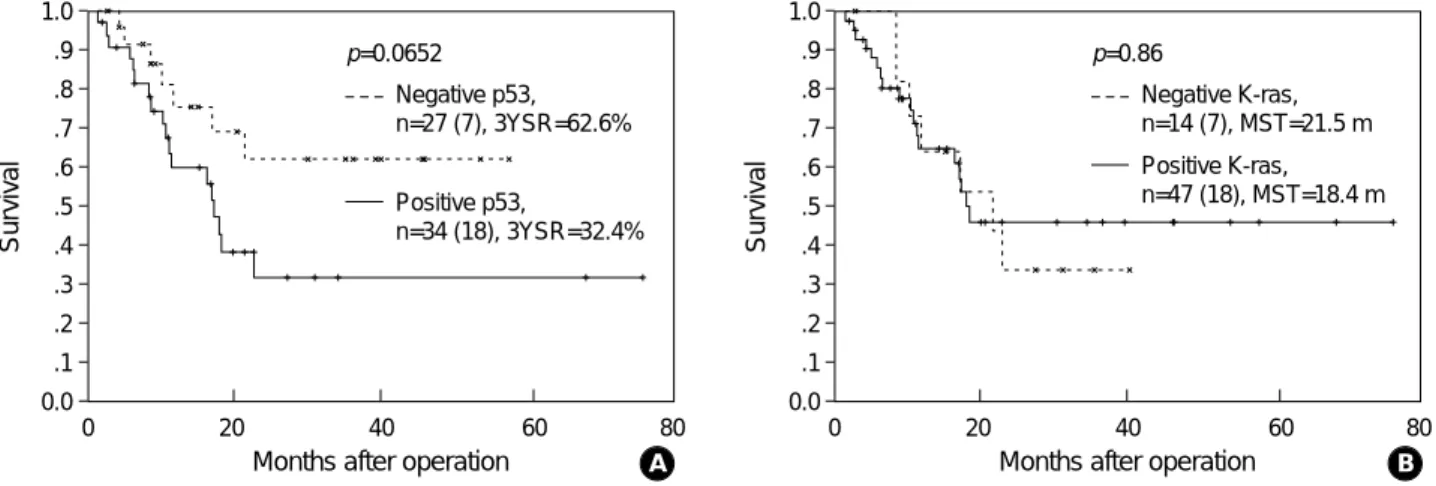Fig. 4. Survival difference according to the p53 protein (A) and K-ras protein expression (B)