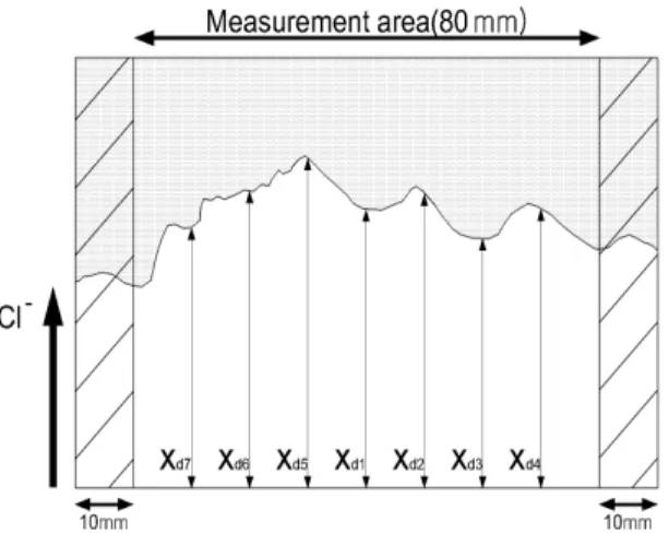 Figure 3. Illustration of measurement for chloride penetration depths             ·             --- (1)   여기서,     : 비정상 상태의 염화물 확산계수(×10 -12 m 2 /s)   : 적용 전압의 절대 값(V)   : 측정 전후의 양극(Anode)용액의 평균