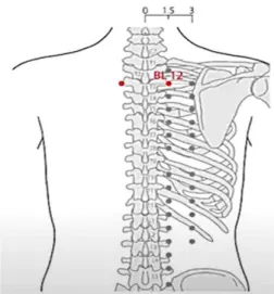 Fig. 4 Structure of the Operating PartFig. 2 Standard Acupuncture Point (Korean Medicine