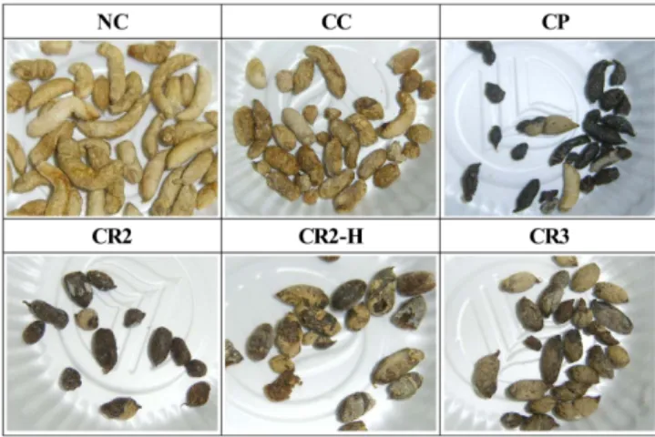 Fig. 1. Fecal form of the rats fed different type of dietary fiber. NC; normal control, CC; constipated cellulose, CP; constipated pectin, CR2; constipated resistant starch type2, CR2-H; constipated resistant starch type2-high concentration, CR3; constipat