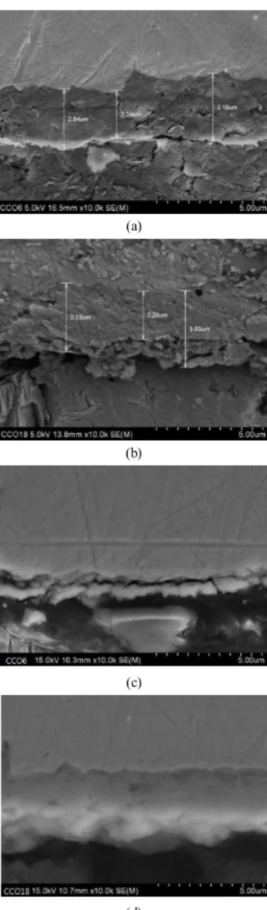 Fig.  3. Samples  after  corrosion  experiment