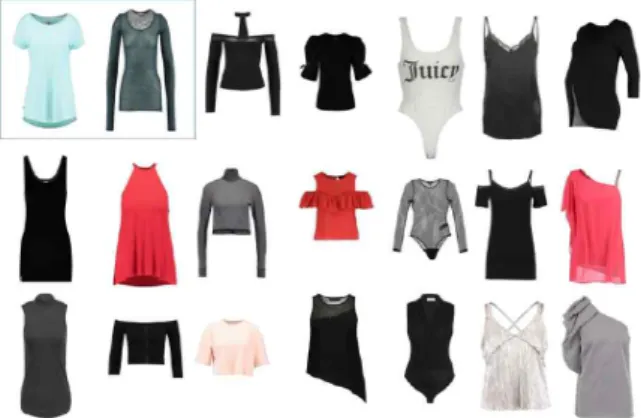 Fig. 3 Clothing Styles in VITON Dataset: Simple Long and Short Sleeved (Highlighted in a Rectangle: 80% of the Dataset)