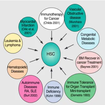 Fig. 4. Application of hematopoietic stem cells (HSCs).