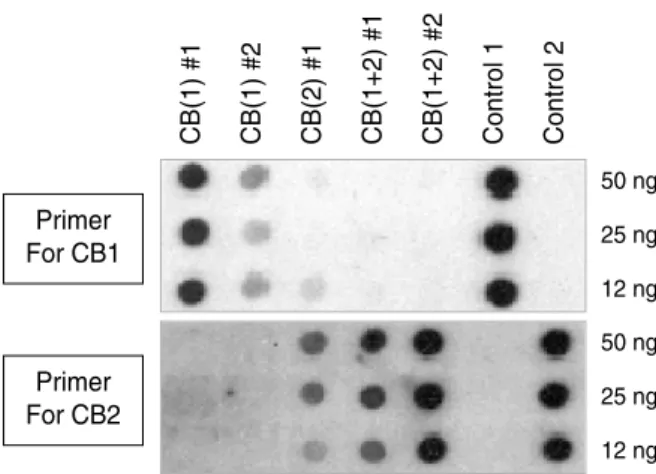 Fig. 7. Differential contribution of mixed cord blood (CB) transplan- transplan-tation