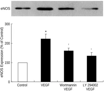 Fig. 6. Effect of PD98059 on the VEGF-induced eNOS expression.