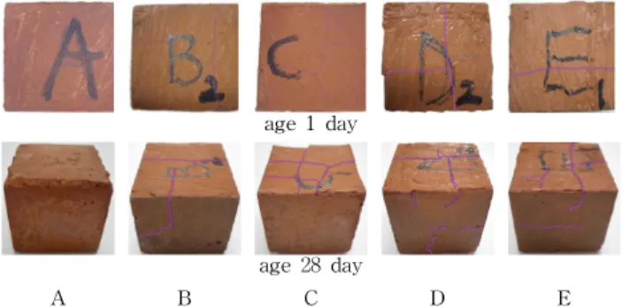 Figure 14. Specimen photo according to the curing conditions