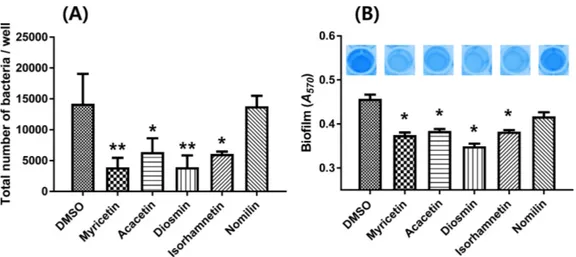 Fig. 2. Effects of selected phytochemicals on cell adhesion activity and biofilm formation