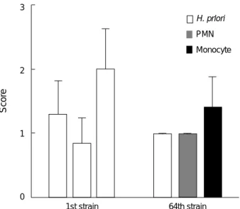 Fig. 4. Differences in gastric inflammation in a gerbil infected for 12 weeks. Although there is no statistical difference, the chronic inflammatory cell infiltration tends to be higher in the first strain than in the 64th strain.