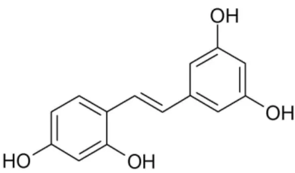 Table 1. HPLC conditions for analysis of oxyresveratrol of ethanol extract of mulberry ( Morus alba L.) branches
