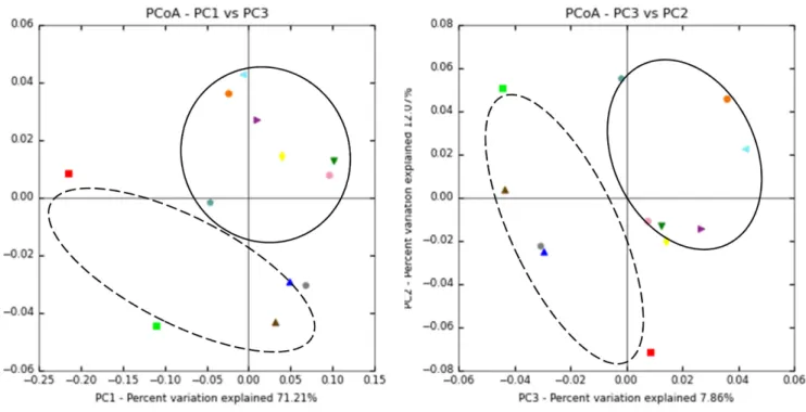 Fig. 2. A hierarchical cluster tree based on using unweighted pair group method with arithmetic mean (UPGMA) of takju and yakju