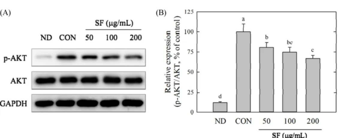 Fig. 7. Effect of saponin fraction (SF) on the protein expression level of AKT, P-AKT in 3T3-L1 cells