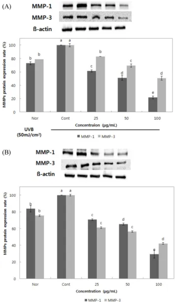 Fig. 4. Expression levels of MMP-1 and -3 on UVB-stimulated HaCaT cells from colored rice extracts