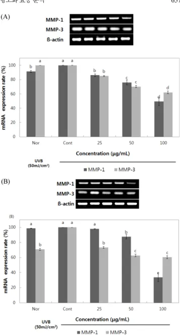 Fig. 6. MMPs mRNA expression on UVB-stimulated HaCaT cells from Colored rice extracts