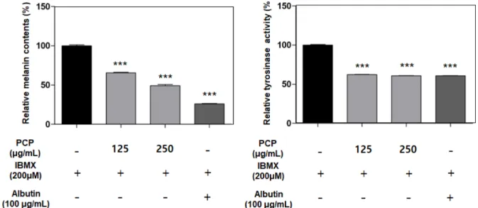 Fig. 4. Effect of crude polysaccharide fraction separated from  Perilla frutescens Britton var