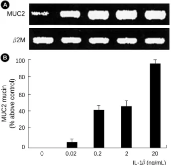 Fig. 2. Phosphorylation of three MAPKs (pERK, pp38, pJNK) according to time of IL-1 treatment