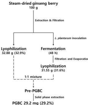 Fig. 1. Schematic representation of the extraction of PGBC from steam-dried ginseng berry