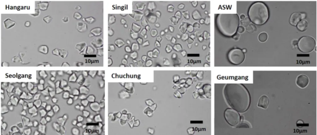 Fig. 2. Scanning electron microphotographs of rice starches with different magnification (2,000 × and 5,000×).