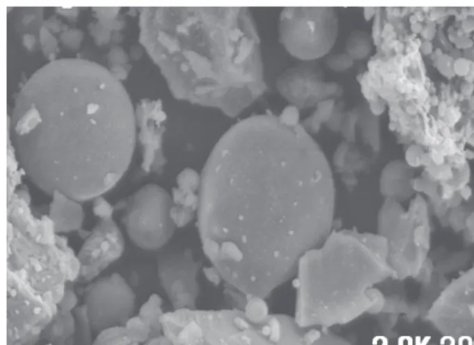 Figure  1.  SEM  of  reject  ash 