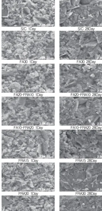 Figure  11.  SEM  in  1day  and  28days 