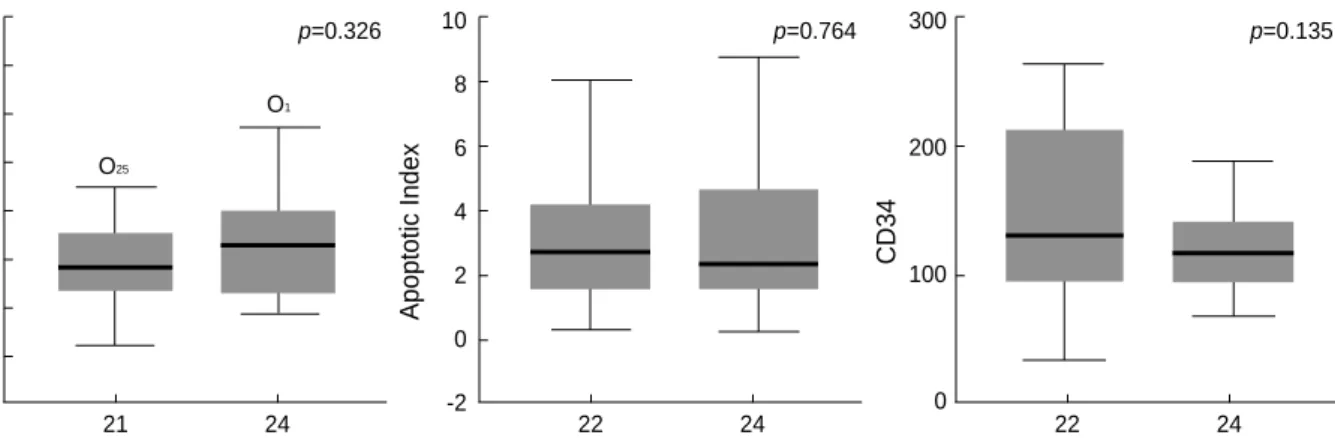 Fig. 5. The comparisons of PI, AI, and microvessel density between the COX-2 positive and negative group of patients with ampulla of Vater cancer