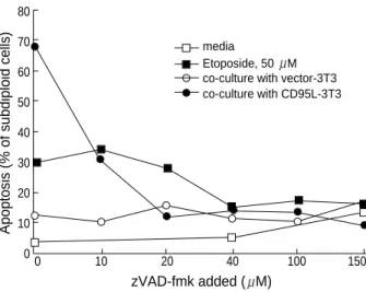 Fig. 2. The expression of cell cycle related proteins upon treatment with apoptotic stimuli