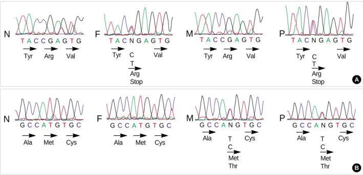 Fig. 1. Identification of mutant alleles for Kir 1.1 gene by genomic sequencing. (A) Corresponding DNA sequence (sense strand) show- show-ing the Arg338Stop mutation; (B) Correspondshow-ing DNA sequence (sense strand) showshow-ing the Met357Thr mutation