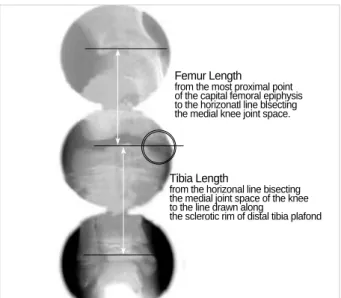 Table 1. Length (cm) of the long bones according to Korean bone age in boys