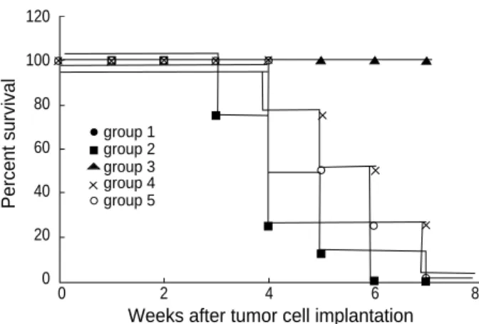 Fig. 3. Induction of immune response in HSV-TK gene-transduced neuro-2a cells. 2×10 6 HSV-TK cells (Group 1) and 2×10 6  neuro-2a cells (Group 2) injected s.c