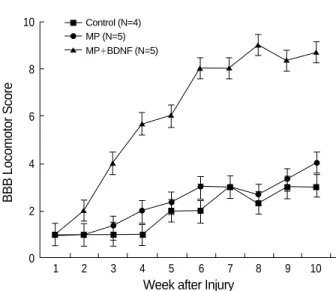 Fig. 5. BBB (Basso Beattie Bresnahan) locomotor score (means