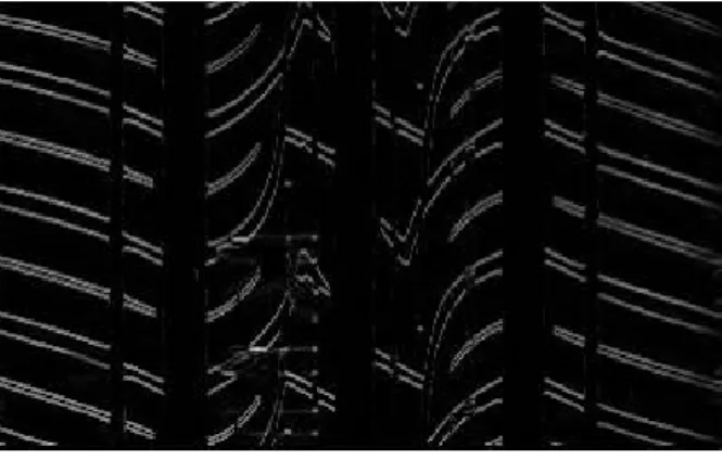 Fig. 2 Result of Bilateral Filtering for the ROI.