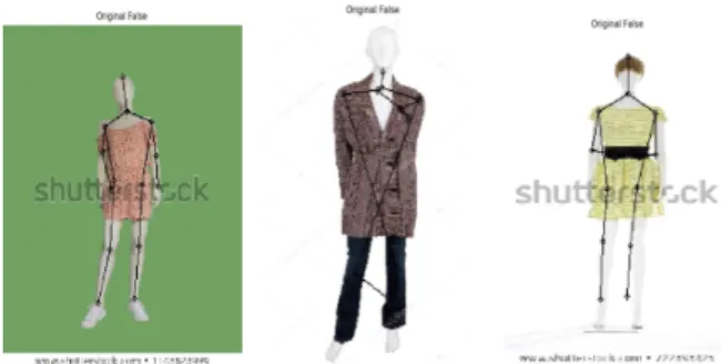 Fig. 5 Detected Wrong Pose Estimated Cased