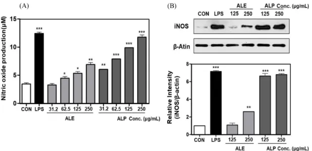Fig. 2. Nitric oxide (NO) production and inducible NO synthase (iNOS) expression in macrophage cell line (RAW 264.7) treated with Annona muricata L
