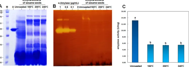 Fig. 2. Protease activity of sesame seed juice samples by roasting conditions. (A) Casein zymogram analysis performed by SDS-PAGE