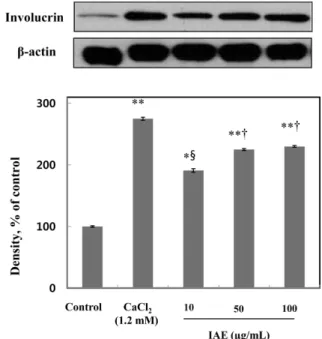 Fig. 5 Effect of  Ipomoea aquatic extract (IAE) on expression of tyrosinase. Western blot analysis on expression of tyrosinase