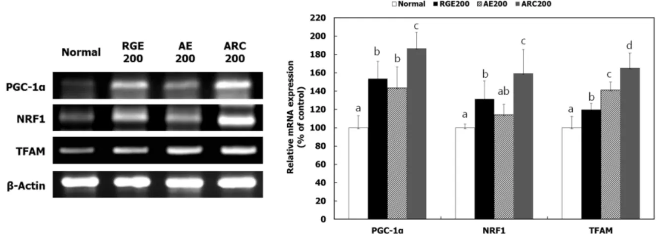 Fig. 5. Effect of ARC on the expression of mitochondrial biogenesis-related markers. AE, RGE, or ARC at the dose of 200 mg/kg/day was orally administrated to C57BL/6J mice for 8 weeks