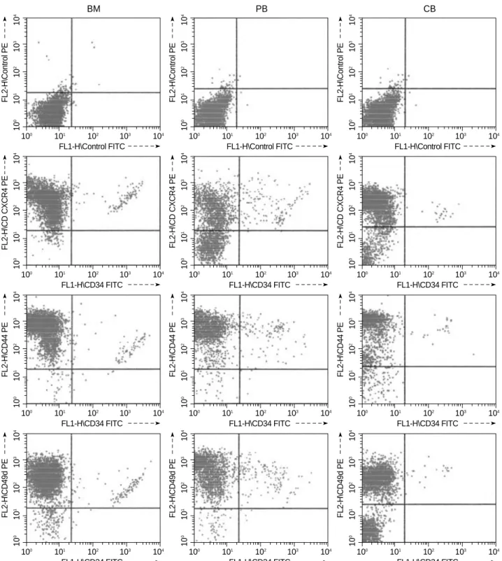 Fig. 1. Representative flow cytometric profile of CXCR4, CD44, CD49d and CD34 expression on the isolated nucleated cells from bone marrow (BM), mobilized peripheral blood (PB) and cord blood (CB).