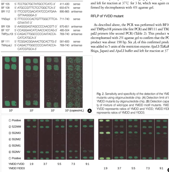 Table 2. Primers used in sequencing and enzyme digestion assay ′ ′ ′ ′ ′ ′ ′ ′ ′ ′′ ′′′′′′ ′