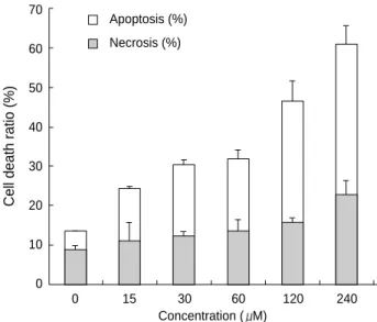 Fig. 3. Cellular morphology of NCTD-treated A375-S2 cells. Cells were cultured without NCTD (control) or with 60  M NCTD for 24 hr