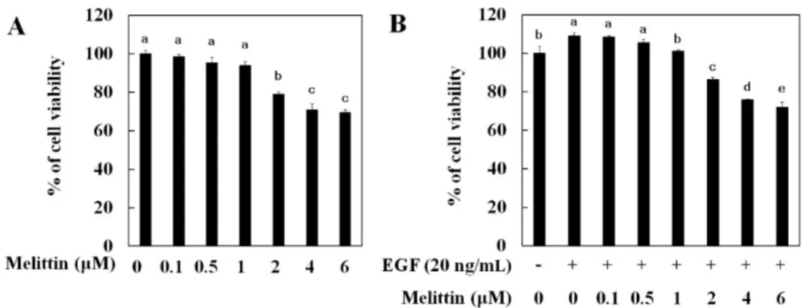 Fig. 2. Inhibitory effect of melittin on EGF-induced cell migration and invasion in lung cancer cells