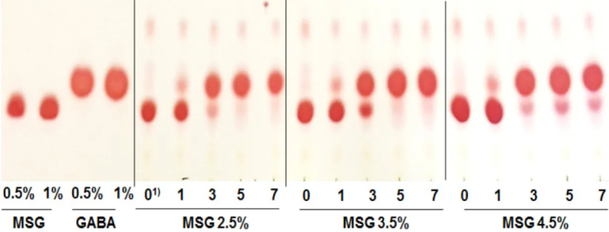 Fig. 7. GABA profile in fermented OAE with different MSG concentrations.  1) Fermentation time (days)
