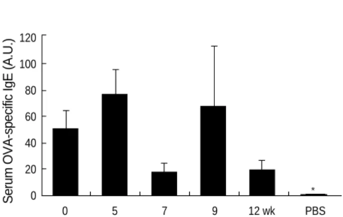 Fig. 4. The serum ovalbumin specific IgE level is still increased when mice were rechallenged 12 weeks after the initial challenge.