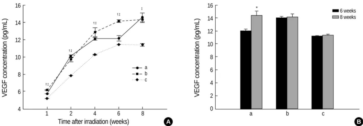 Fig. 3. (A) Expression of VEGF according to the time after irradiation. Whereas the level of expression of VEGF was significantly higher than in the right hemisphere(craniectomy site) of the sham operation group at 2 weeks, the expression showed a signific