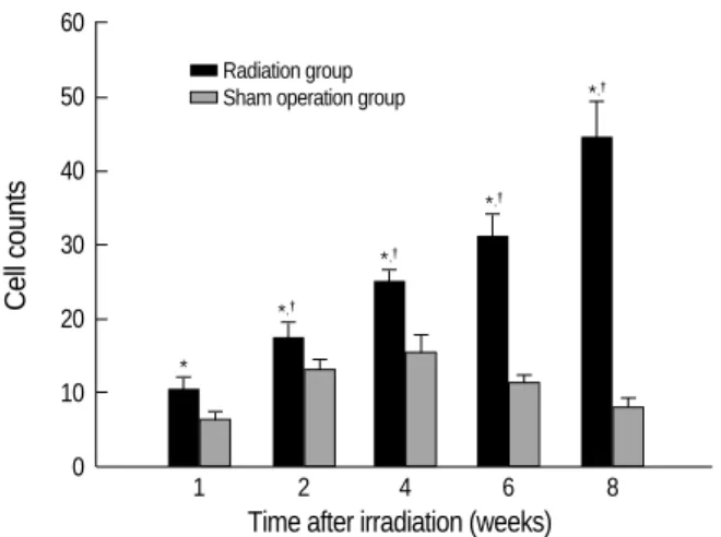 Fig. 6. The changes of the mean VEGF staining cell counts under